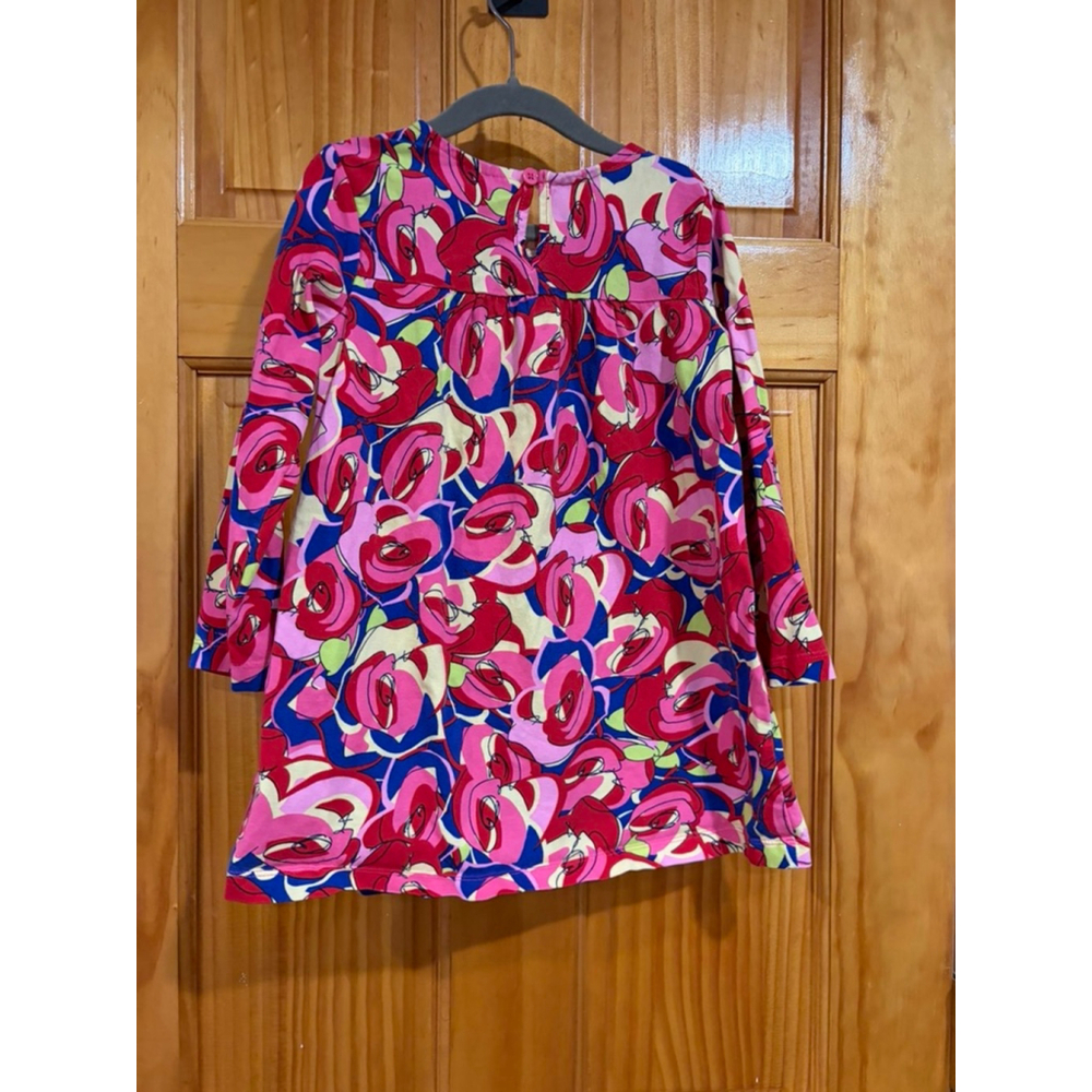 Hanna Andersson Floral Cotton Dress Girls 110 Pink Blue Long Sleeve